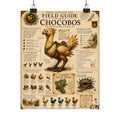 Chocobo Field Guide Matte Poster — Vintage Final Fantasy XIV Creature Chart