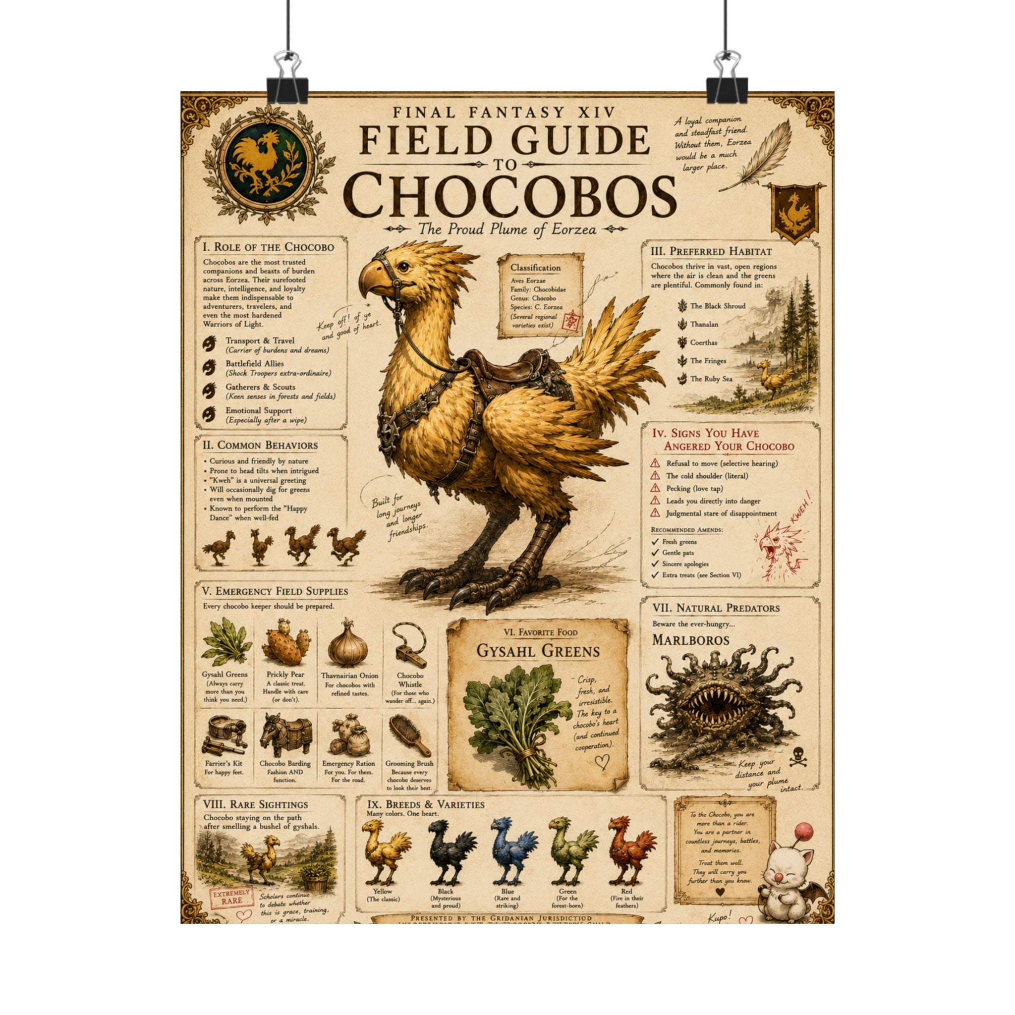 Chocobo Field Guide Matte Poster — Vintage Final Fantasy XIV Creature Chart