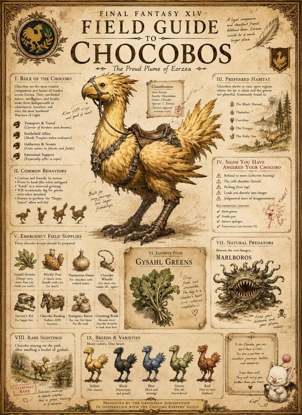 Final Fantasy Chocobo Field Guide Print | Eorzea Inspired Wall Art, Retro Gaming Decor (12x24)
