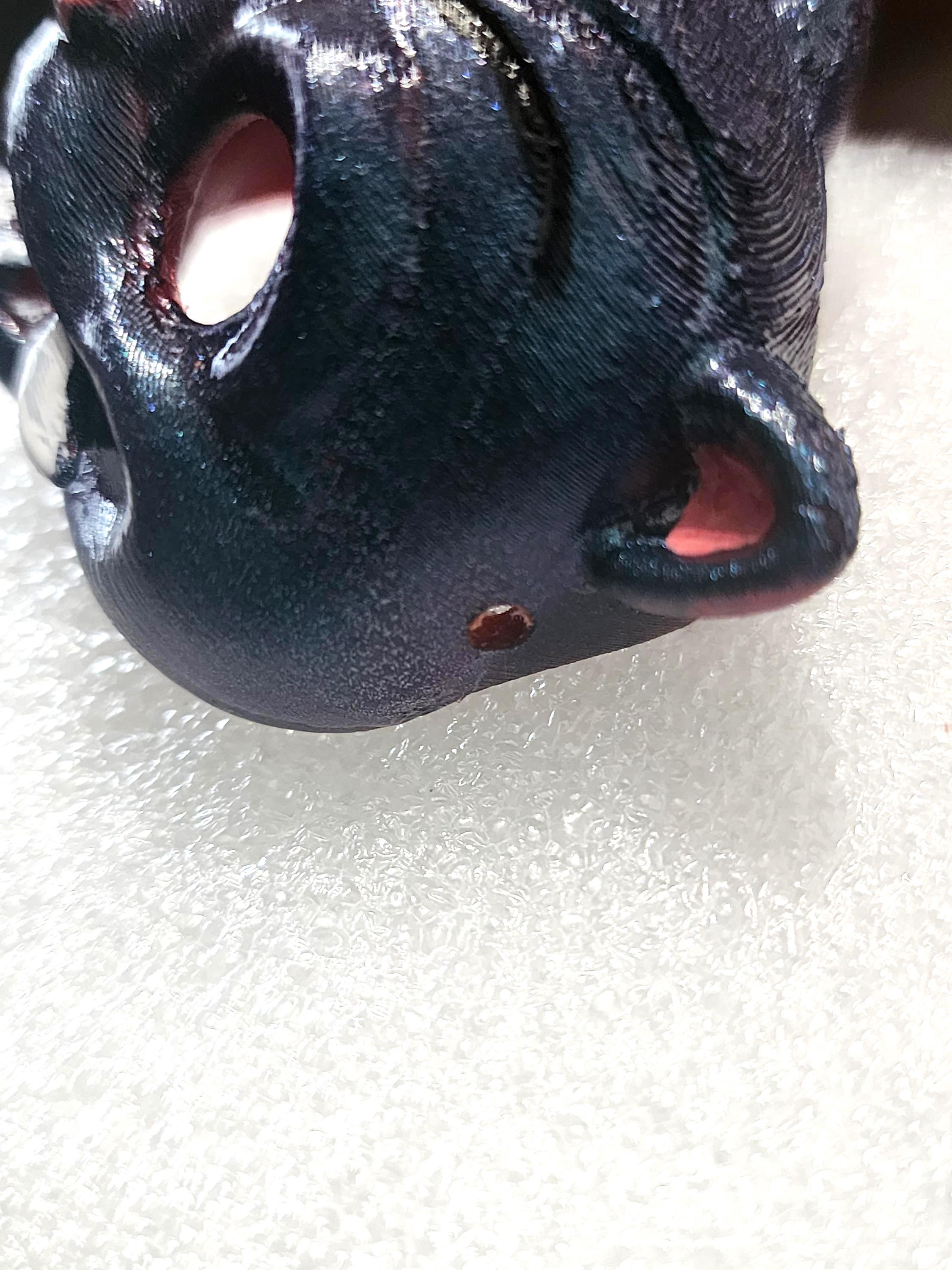 Halloween Mask Derpy cat k pop hunters *no string included*