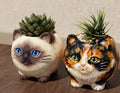 Hand-Painted 3D Printed Cat Planter, PETG Succulent Pot, Adorable Animal Home Decor