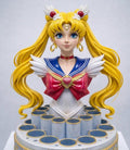Sailor Moon Bust Makeup Station, PLA Figurine, Anime Fan Gift