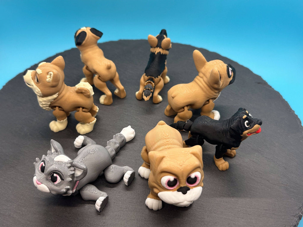 Variety Dog & Cat Breed Fidgets: 5. Shiba Inu