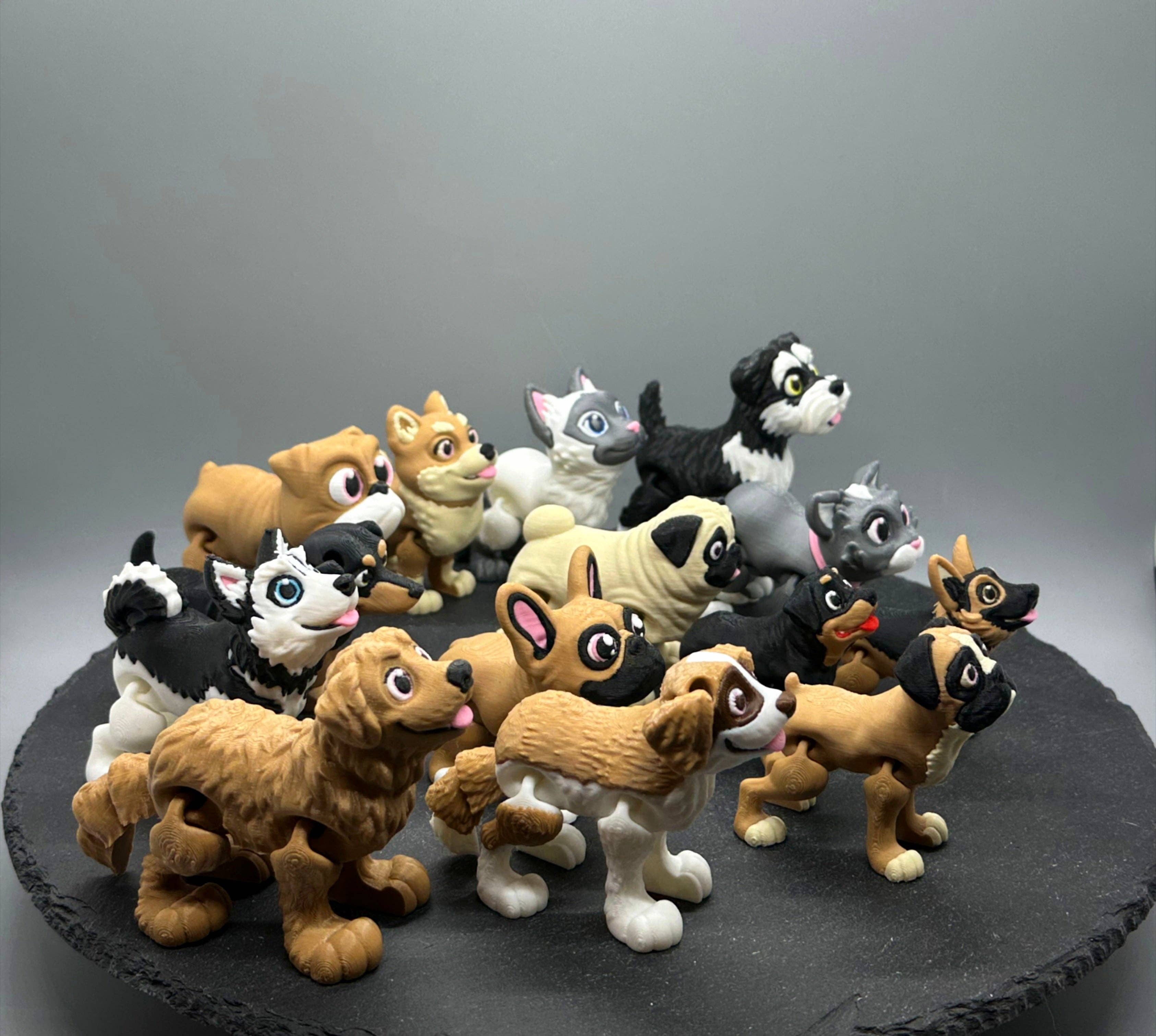 Variety Dog & Cat Breed Fidgets: 6. Siamese Cat