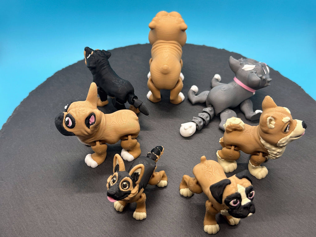 Variety Dog & Cat Breed Fidgets: 6. Siamese Cat