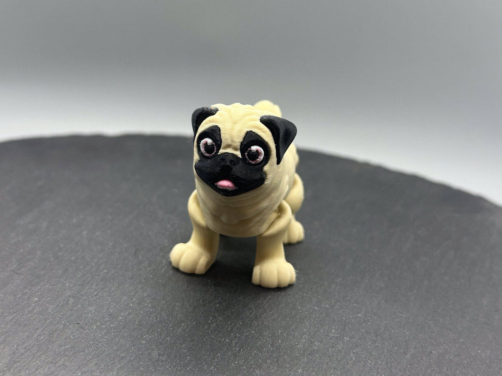 Variety Dog & Cat Breed Fidgets: 6. Siamese Cat