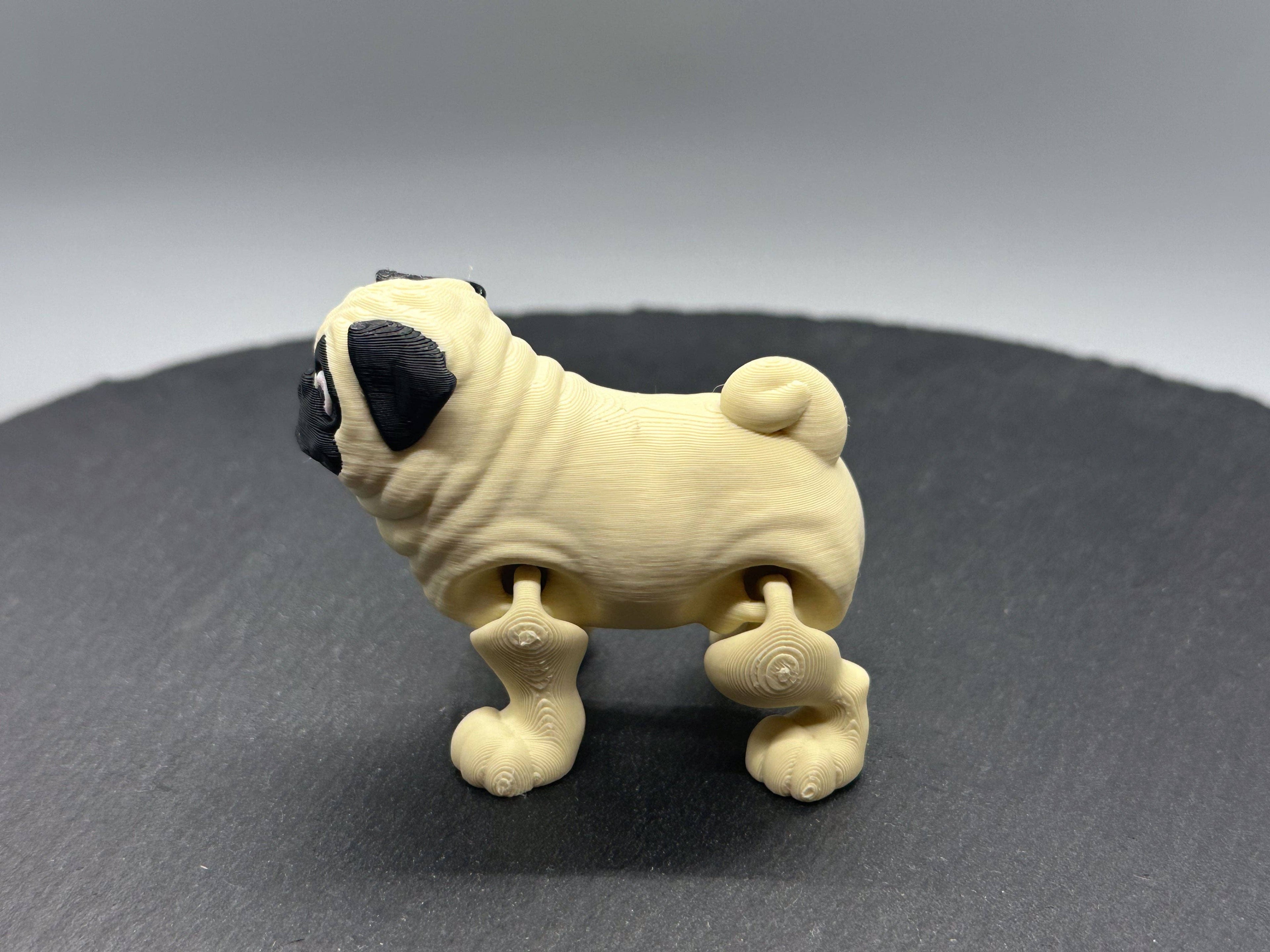 Variety Dog & Cat Breed Fidgets: 6. Siamese Cat