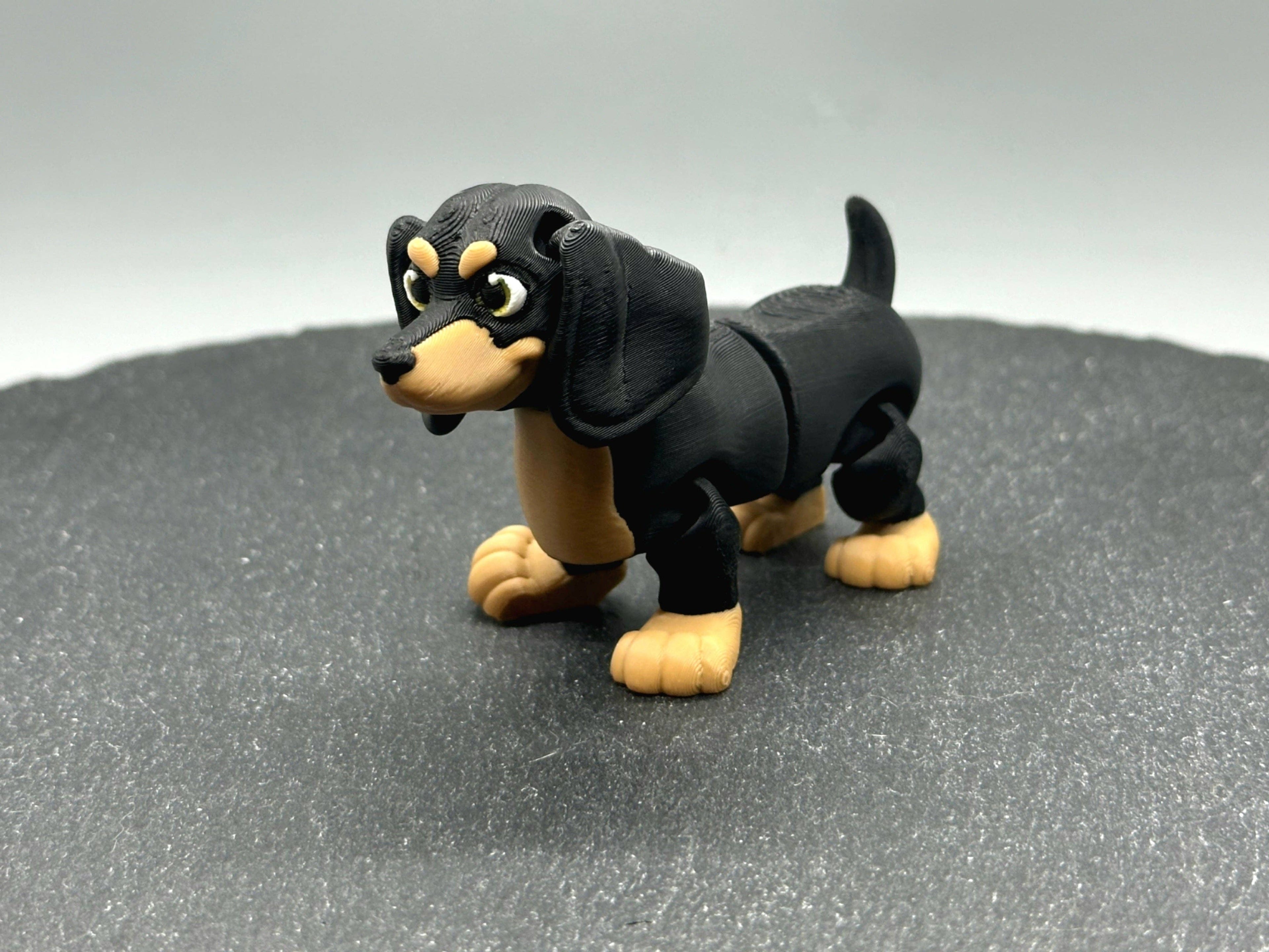 Variety Dog & Cat Breed Fidgets: 6. Siamese Cat